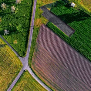 Article - Se soigner à la campagne : la débrouille des personnes LGBT+ en milieu rural | Komitid