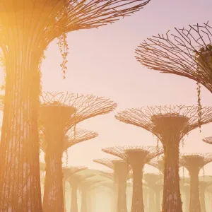 « Soleil·s », une exposition haute en UVB