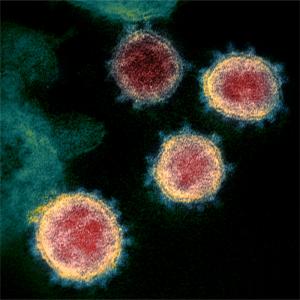 Les modélisateurs de l’épidémie de la Covid-19