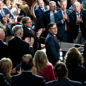 Mike Johnson, le Maga power