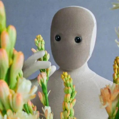 Robots domestiques : la collecte de données d’entraînement passe par le ménage gratuit