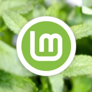 Linux Mint 23 adds home encryption option for new users