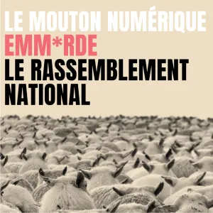 Le Mouton Numérique emm*rde le Rassemblement National