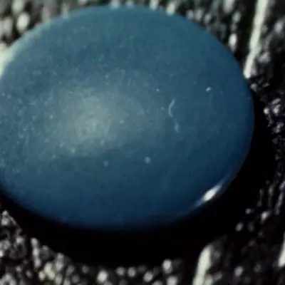 Internautes : Nathalie Magnan : Free Download, Borrow, and Streaming : Internet Archive