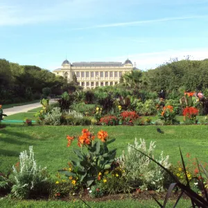 Biodiversité, un nouveau dossier enseignant du MNHN