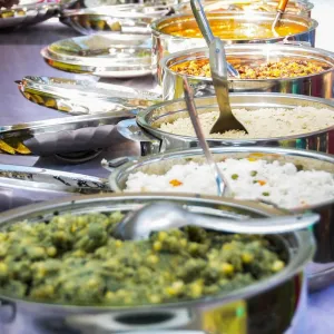 Afro-Véganisme | Une Lutte contre l’Exploitation du Vivant