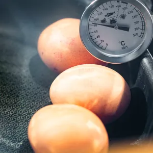 [Four solaire boite] Recette : cuire des oeufs - Solar Brother