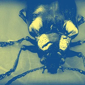 Éloge du bug, version RATP
