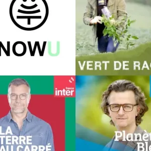 Écologie : Radio France et France télévisions ne répondent plus
