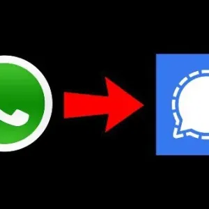 Petit topo sur la différence Whatsapp /Signal pour ma gamine