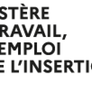 Pass Numériques – Ministère du Travail, de l'Emploi et de l'Insertion