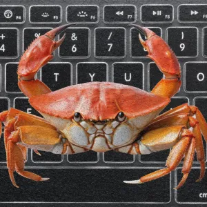 « Comme si je désamorçais une bombe », un agent IA désobéit à une experte de Meta et supprime une partie de sa boite mail