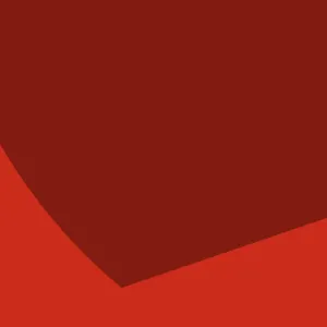 Article - « La moitié des féminicides ont lieu en milieu rural » | Public Sénat