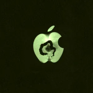 Votre projet open source est bloqué par Apple ou Google ? La FSFE veut le savoir