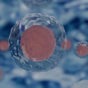 Des modèles mathématiques pour optimiser la recherche clinique en cancérologie