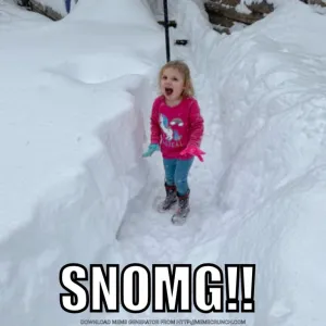« Il neige. » Alors faites de vos culs des luges.