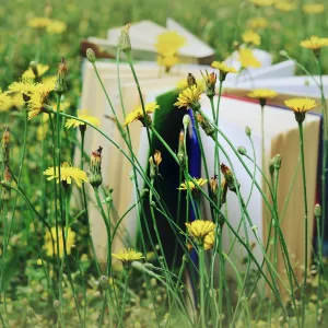 Notre sélection de lectures à emporter dans vos valises ou tablettes