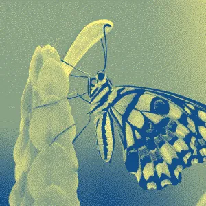 Louis Derrac - Je vais tester Bluesky