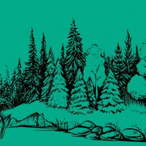 Guide de survie du vététiste débutant en moyenne montagne