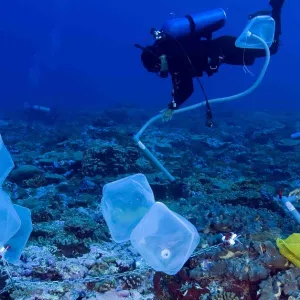 Un « oxygène noir » produit par des galets est découvert dans l'océan Pacifique