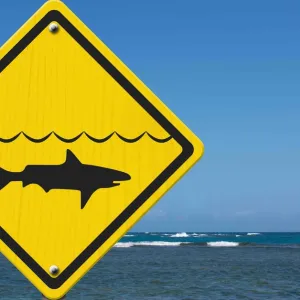 Vacances du futur : à quoi ressemblera le tourisme à l’île de La Réunion en 2100 ?