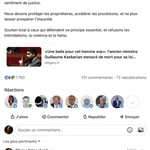 La forme des réseaux. Ou pourquoi je suis devenu troll officiel de Christelle Morançais sur Linkedin.