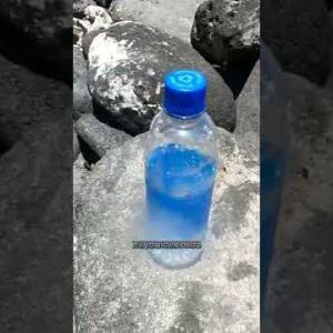 A 12h32, les ombres n’existent plus 😍 #shorts