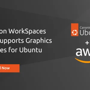 Unleash the power of GPU: Ubuntu WorkSpaces now support Graphics G4dn bundles