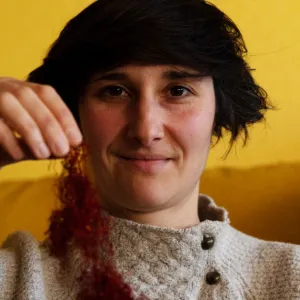 Environnement. À la Robertsau, ils cultivent le premier safran made in Strasbourg