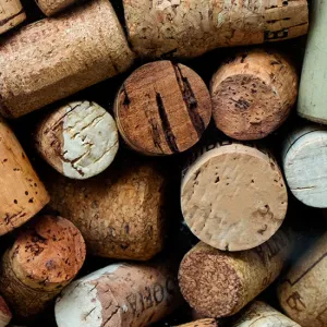 L'astuce récup' insolite du bouchon de liège dans le jardin !