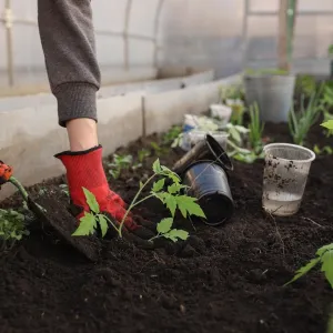 [Le chiffre du jour] 138 735 élèves en enseignement agricole