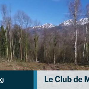 Des chênes français pour la Chine