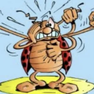 BD : contre l'IA-faussaire, le salut par la coccinelle ? - Par Daniel Schneidermann | Arrêt sur images