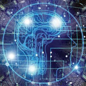 La recherche en sciences humaines et sociales au cœur de la transition numérique