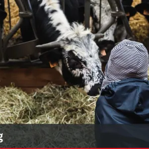 Avec son "salon à la ferme", la Confédération paysanne fait campagne pour les municipales