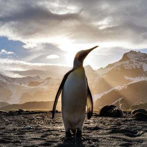 Linux Application Summit 2022 – And there we were all in one place …
