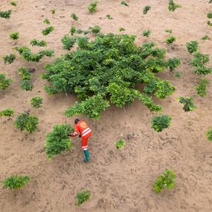 Nouveau rapport du GIEC : agir coûtera moins cher que le Business as Usual
