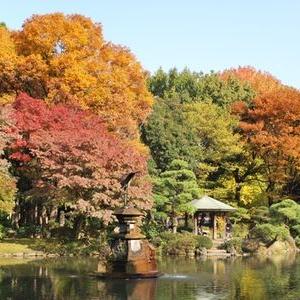 Japan’s 72 Microseasons