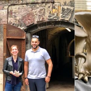 Aveugles ou mal voyant(e)s, ils font pousser des champignons dans un ancien bunker strasbourgeois