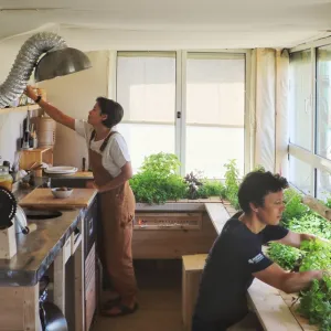 Élevage de grillons, toilettes « vivantes » et fitness utile : on a visité l’appartement low-tech du futur