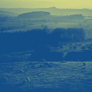 Le complexe rural, un documentaire de France Culture à écouter absolument !