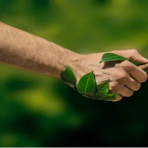 Sylvain Breuzard on LinkedIn: #nature #cse #biodiversité #gouvernance #écologie #innovation | 35 comments