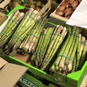 Emplois saisonniers : les asperges d’Alsace ont besoin de bras pour la récolte !