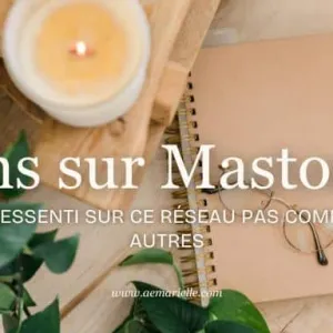 Mastodon, mon ressenti | Aemarielle
