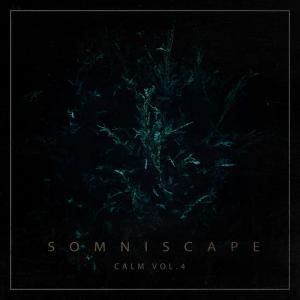 Calm, Vol. 4 (FREE ALBUM), by Somniscape