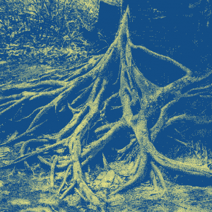 Florilège d'idées radicales pour un écosystème numérique vraiment plus désirable