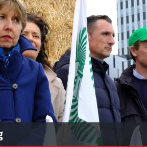 Élections agricoles : la FNSEA face à la colère contre son modèle mondialisé