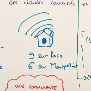 La transition écologique, objet de recherche collaborative en éducation