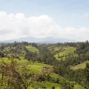 Agroecology Infopool | Biovision - Stiftung für ökologische Entwicklung