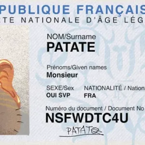 Interdiction des réseaux sociaux aux -15 ans : le gouvernement vise toujours la rentrée